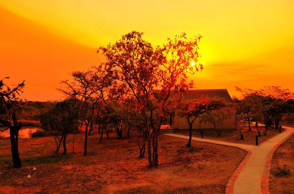 Cheetah Paw Eco Lodge Guernsey Nature Reserve Экстерьер фото